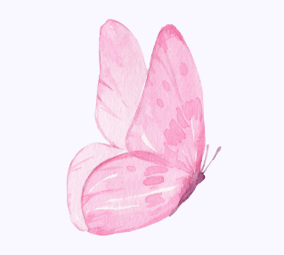 Pink butterfly-1